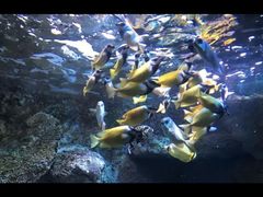 -太平洋海底世界