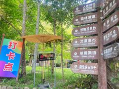 -龙湾潭国家森林公园