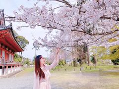 -醍醐寺