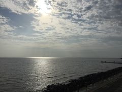 -瀛洲公园