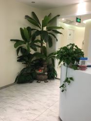 -健身堂科技美肌SPA