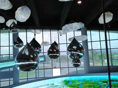 -漩门湾国家湿地公园