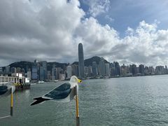 -海港城