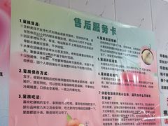 -老袁家蜜桃农场·阳山水蜜桃