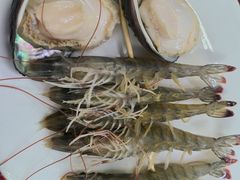 -花苑美食横琴生蚝火锅(拱北粤华路店)