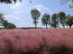 -汉长安城未央宫国家考古遗址公园