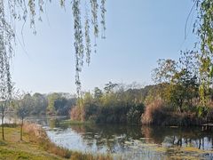 -白鹭湾湿地公园