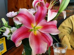 -rexpizza雷克斯披萨(武大店)