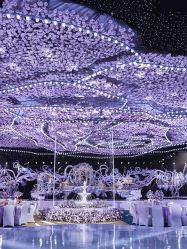 -红丝高端婚礼中心(旗舰店)