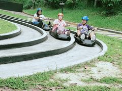 -圣淘沙天际线斜坡滑车