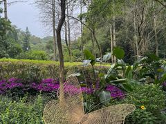 -广州市白云山风景名胜区