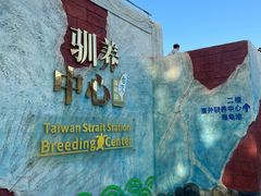 -广东惠东海龟国家级自然保护区