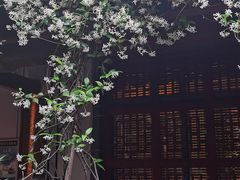 -不倒翁·徽天下名菜楼(马鞍山路店)