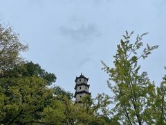 -江心屿景区