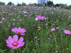 -白塘生态植物园