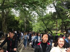 -武汉大学-樱园