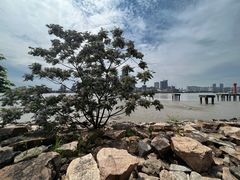-上海山野camping·户外天幕烧烤·团建拓展营地