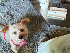 -J Create城市露营咖啡·简餐·宠物(上海动物园店)