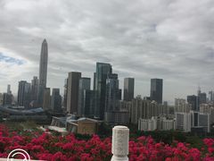 -莲花山公园