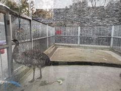 -水绘园