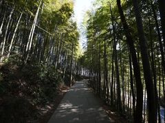 -径山寺
