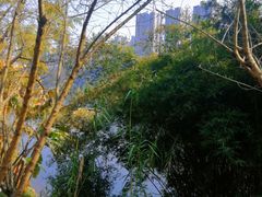 -重庆彩云湖湿地公园