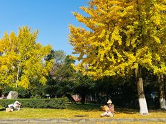 -四川大学(望江校区)