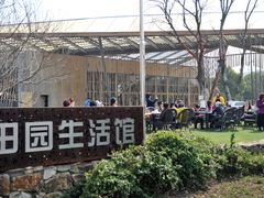 -田园东方蜜桃村的田野营地