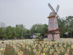 -祥源·阜阳生态乐园