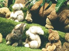 -济州岛泰迪熊博物馆