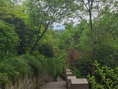 -杭州半山国家森林公园