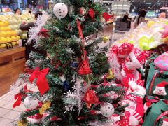 -山姆会员商店(杨桥西路店)
