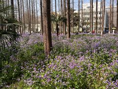 -上海交通大学(闵行校区)