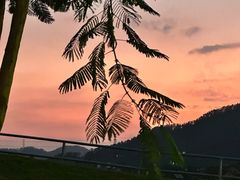 -白石龙音乐公园