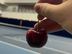 -齐动力网球(六里桥威尼斯基地)