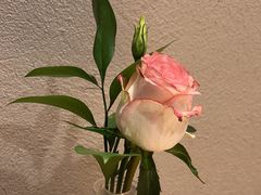 -cocopai可可派·City(步步高新天地店)