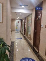 -碧莲盛·不剃发植发