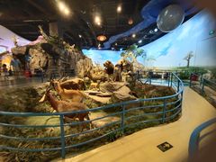 -陕西自然博物馆