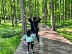 -黄海国家森林公园