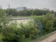 -丁香湖公园