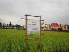 -中国天府农业博览园