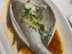 -京粤荟(海王银河科技大厦店)