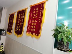 -佳怡动物医院·平价24小时·猫专科骨外科