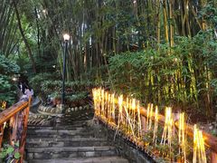 -竹海听涛生态山庄