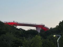 -飞凤山奥体公园