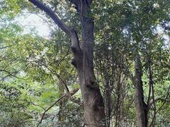 -波尔登森林公园