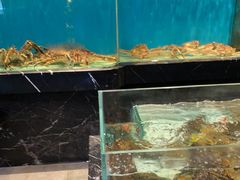 -许家菜.艺创菜(仁和新城店)