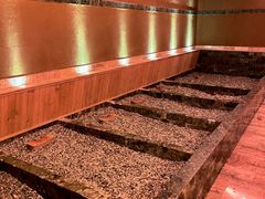 -大连金石滩绿发温泉假日酒店
