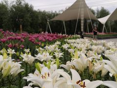 -长春公园(普阳街道)