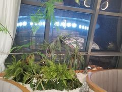 -马家斑.鲜鱼火锅(松湖万科店)